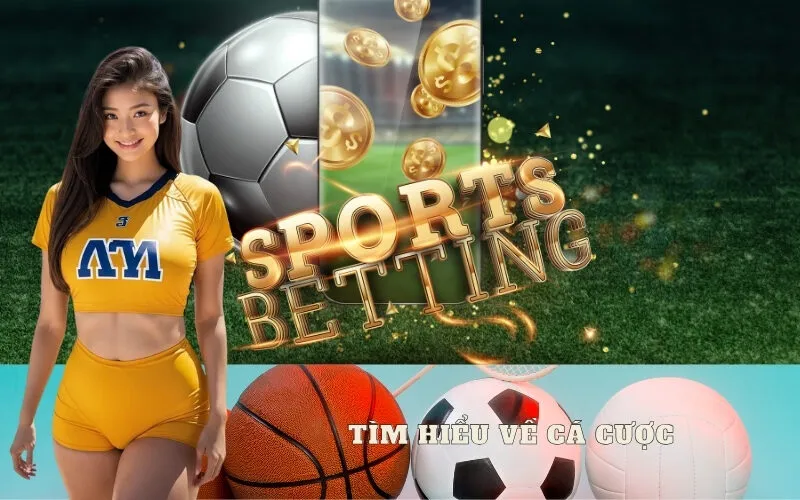 Tìm Hiểu Về Cá Cược